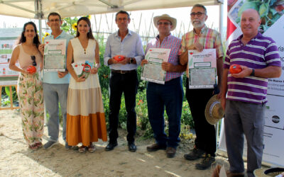 Alhaurín el Grande acoge la jornada final Go MHE Tomate Huevo Toro
