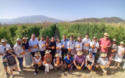 Alhaurín el Grande acoge el inicio de la campaña del Tomate Huevo Toro 2025