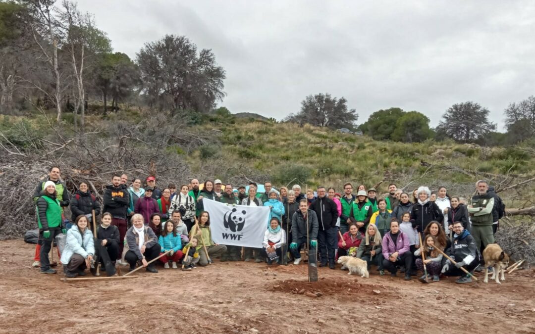 Más de medio centenar de voluntarios participan en una jornada de restauración forestal en la sierra de Alhaurín el Grande